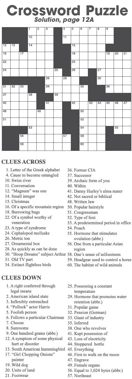 Crossword Puzzle