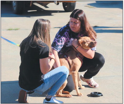 Mount Vernon Vaccine  Clinic A Huge Success