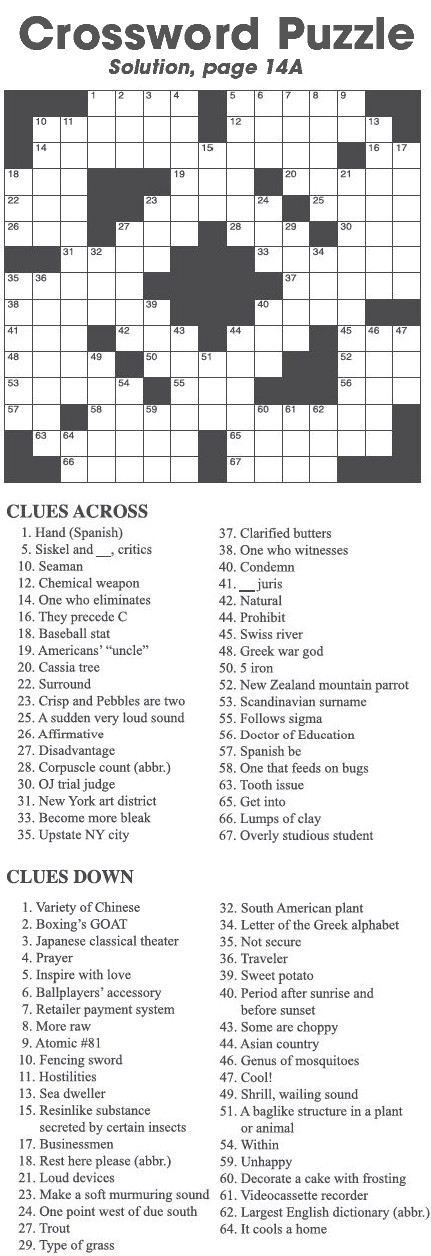 Crossword Puzzle