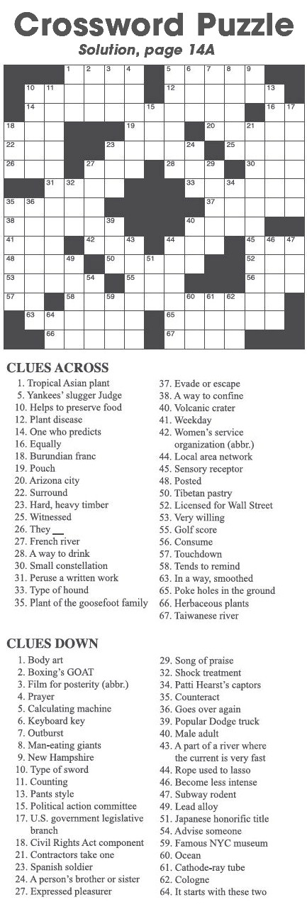 Crossword Puzzle